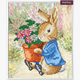 Crystal Art "Peter Rabbit" Bilderrahmen 21 x 25 cm