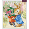 Crystal Art "Peter Rabbit" Bilderrahmen 21 x 25 cm