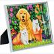 Crystal Art "Picture Frame Kit" Cat and Dog 21 x 25 cm