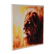 Crystal Art Proud Lion Kit, 40 x 50 cm, mit Rahmen | Bild 2