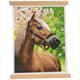 Crystal Art Scroll Horse 35 x 45 cm