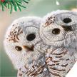 Crystal Art Scroll Snowy Owls Sanctuary, 40 x 50 cm | Bild 4