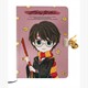 Crystal Art Secret Diary Harry Potter