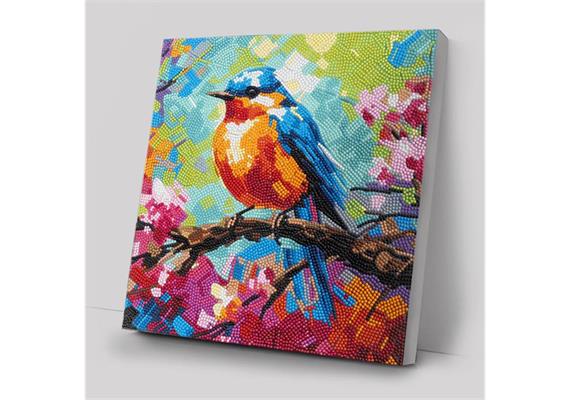 Crystal Art Spring Robin 30 x 30 cm mit Rahmen