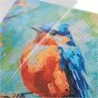 Crystal Art Spring Robin 30 x 30 cm mit Rahmen | Bild 5