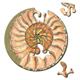 Curiosi Picolo Puzzle Pico "Schnecke"