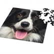 Curiosi Q Puzzle Animal 5 Tiermotiv Hund | Bild 2