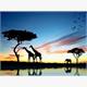 Diamond 6037-50161 Afrika 33 x 44 cm