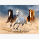 Diamond 6037-50171 Painting Pferde im Galopp 33 x 44 cm