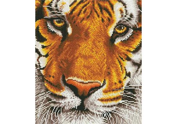 Diamond Dotz Bengal Tiger ca. 31 x 43 cm