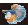 Diamond Dotz DD9-078 Luminous Fish 47 x 37 cm