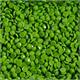 Diamond Dotz Freestyle DDH-8249 Frog Green