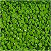 Diamond Dotz Freestyle DDH-8249 Frog Green
