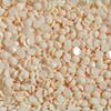 Diamond Dotz Freestyle DDH-8299 Bone