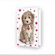 Diamond Dotz Grusskarte Lovely Boy 12.6 x 17.7 cm