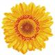Diamond Dotz Happy Day Sunflower 20 x 20 cm