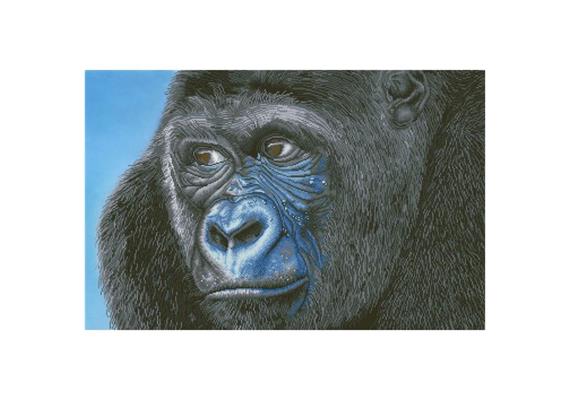 Diamond Dotz, Kibali, Western Lowlands Gorilla 100 x 65 cm