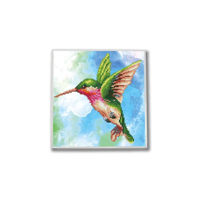 Diamond Dotz DDK5-031 Colibrì Scintillante: Kit Quadro Fai Da Te Con Cornice Inclusa, 30x29 Cm, Per Adulti E Bambini (dagli 8 Anni)