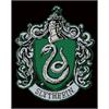 Diamond Dotz Slytherin Crest Harry Potter 40 x 50 cm