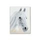 Diamond Dotz SQUARES Arabian Beauty mit Rahmen 41 x 31 cm