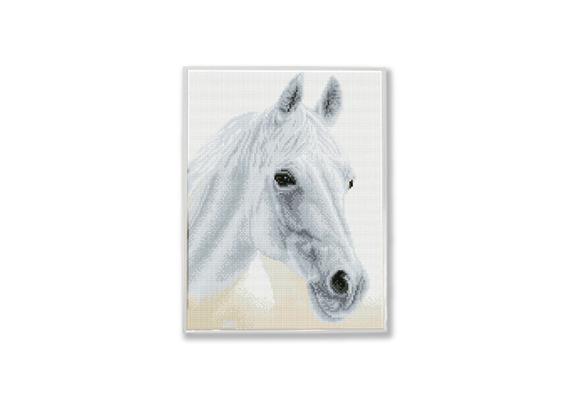 Diamond Dotz SQUARES Arabian Beauty mit Rahmen 41 x 31 cm
