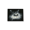 Diamond Dotz SQUARES Shadow Cat mit Rahmen 25 x 32 cm