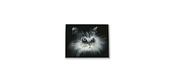 Diamond Dotz SQUARES Shadow Cat mit Rahmen 25 x 32 cm