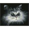 Diamond Dotz SQUARES Shadow Cat mit Rahmen 25 x 32 cm