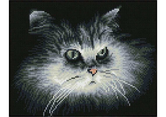 Diamond Dotz SQUARES Shadow Cat mit Rahmen 25 x 32 cm