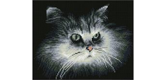 Diamond Dotz SQUARES Shadow Cat mit Rahmen 25 x 32 cm