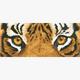 Diamond Dotz Tiger Augen 42 x 15 cm