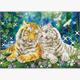 Diamond Dotz Tiger Smooch 77 x 55 cm