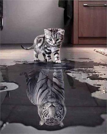 Diamond Painting