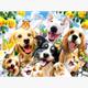 Diamond Painting 6037-40121 Tierisches Selfie 25 x 35 cm