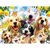 Diamond Painting 6037-40121 Tierisches Selfie 25 x 35 cm