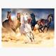 Diamond Painting 6037-40151 Galoppierende Pferde 25 x 35 cm