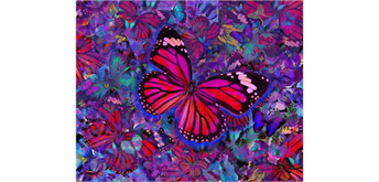 Diamond Painting 6037-40201 Pinker Schmetterling 25 x 35 cm