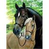 Diamond Painting 6037-40211 Pferde 25 x 35 cm