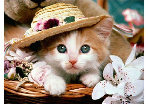Diamond Painting 6037-40261 Katze 25 x 35 cm