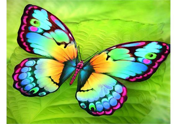 Diamond Painting 6037-40301 Schmetterling 25 x 35 cm