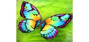 Diamond Painting 6037-40301 Schmetterling 25 x 35 cm