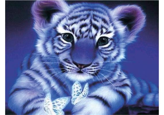 Diamond Painting 6037-40451 Baby Tiger 25 x 35 cm