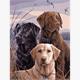 Diamond Painting 6037-40501 Hunde 25 x 35 cm