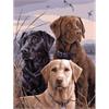 Diamond Painting 6037-40501 Hunde 25 x 35 cm