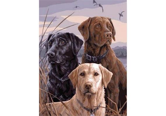 Diamond Painting 6037-40501 Hunde 25 x 35 cm