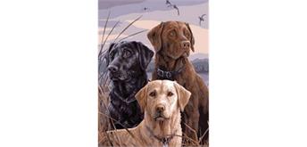 Diamond Painting 6037-40501 Hunde 25 x 35 cm