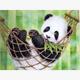 Diamond Painting 6037-40531 Panda 25 x 35 cm