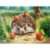 Diamond Painting 6037-40561 Igel 25 x 35 cm