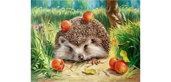 Diamond Painting 6037-40561 Igel 25 x 35 cm