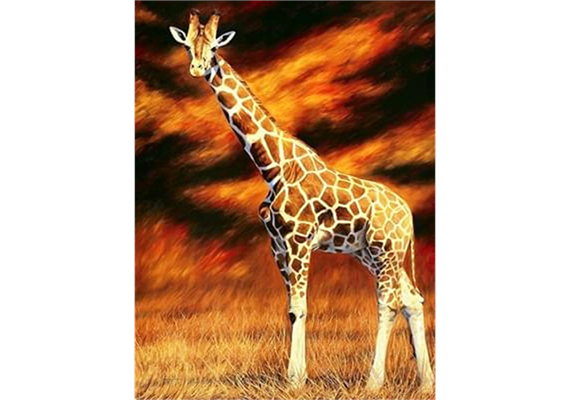 Diamond Painting 6037-40571 Giraffe 25 x 35 cm
